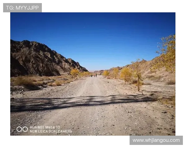 与吴娜畅谈街舞之路与人生追求的精彩旅程