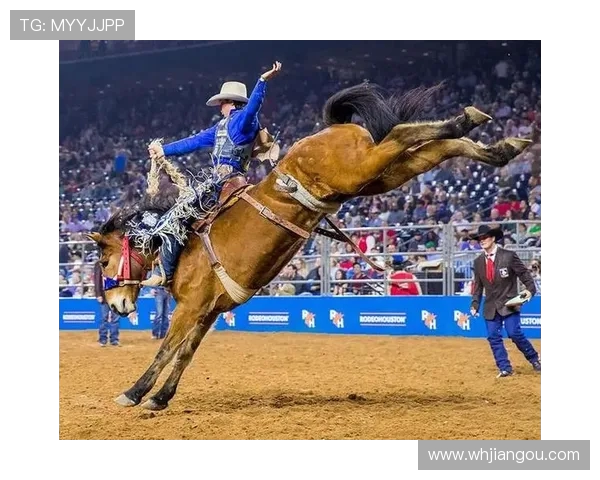 多伦多与休斯顿城市发展对比分析及未来展望探讨